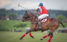 0131-Kathrin_Gralla-Graeff_Cup 
