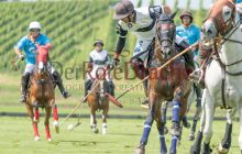 0271-Kathrin_Gralla-Gold_Cup_2021 