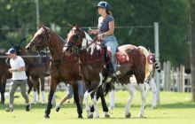 0272-Kathrin_Gralla-Gold_Cup_2021 