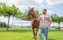 0339-Kathrin_Gralla-Gold_Cup_2021 