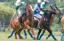 0060-Kathrin_Gralla-ZLG_2021 