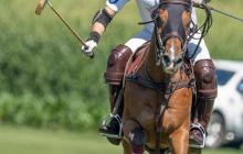 0035-Kathrin_Gralla-Gold_Cup_2020 
