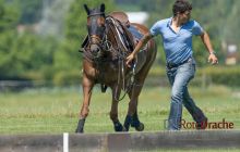 0084-Kathrin_Gralla-Gold_Cup_2020 