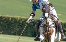 0139-Kathrin_Gralla-Gold_Cup_2020 
