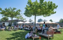 0231-Kathrin_Gralla-Gold_Cup_2020 