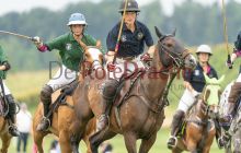 0168-Kathrin_Gralla-unbenannt 