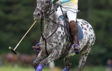 0044-Kathrin_Gralla-Summer_Polo 