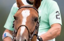 0053-Kathrin_Gralla-Summer_Polo 