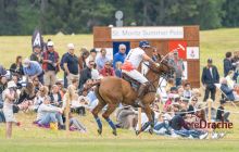 0333-Kathrin_Gralla-Summer_Polo 