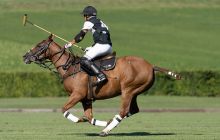 0100-Kathrin_Gralla-Swiss_Medium_Goal_2020_Day_1_web 