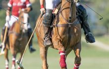 0102-Kathrin_Gralla-Swiss_Medium_Goal_2020_Day_1_web 