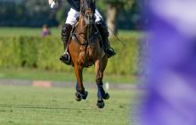 0147-Kathrin_Gralla-Swiss_Medium_Goal_2020_Day_1_web 