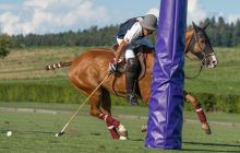 0197-Kathrin_Gralla-Swiss_Medium_Goal_2020_Day_1_web 