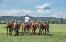 0312-Kathrin_Gralla-Swiss_Medium_Goal_Day_2_web 