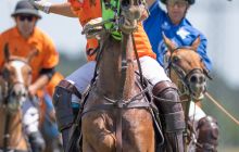 0063-Kathrin_Gralla-Chiemsee_Polo 