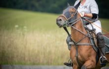 0194-Kathrin_Gralla-Chiemsee_Polo 